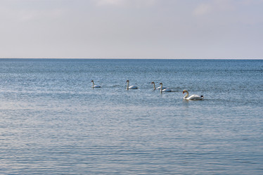 Similar image 22140229