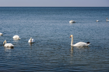 Similar image 22140230