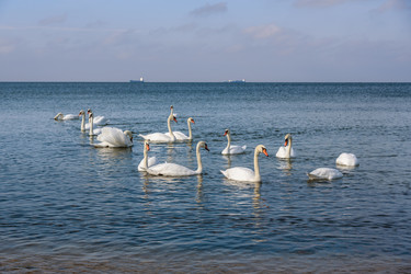 Similar image 22140231