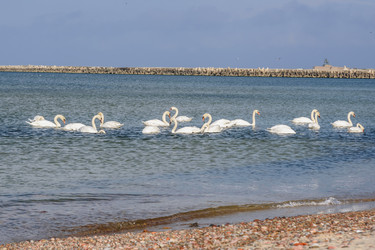 Similar image 22140232