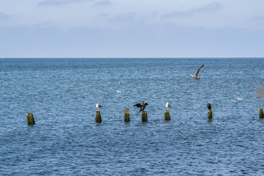 Similar image 22140233