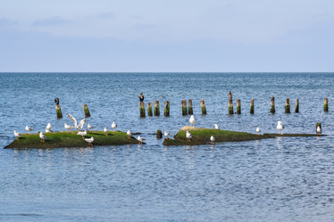 Similar image 22140234