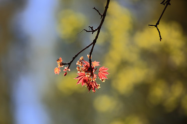 Similar image 22132976