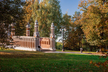 Similar image 22135999