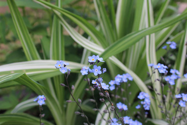 Similar image 22138969