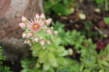 Similar image 22139131