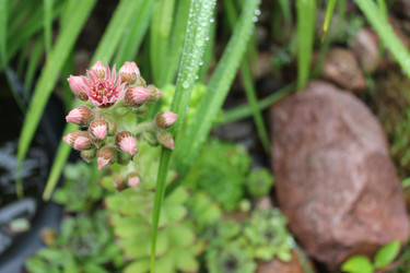 Similar image 22139132