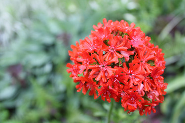 Similar image 22139133