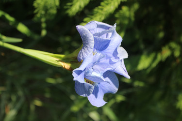 Similar image 22139134