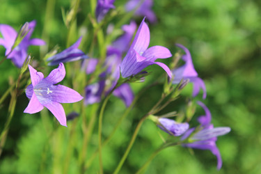 Similar image 22139135