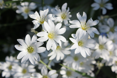 Similar image 22139136