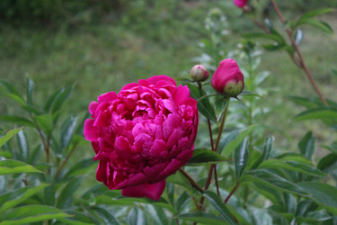 Similar image 22139137