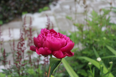 Similar image 22139138