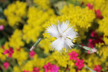 Similar image 22139139