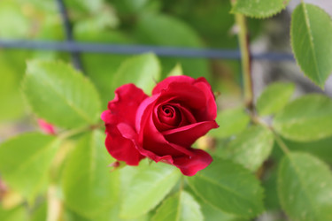 Similar image 22139141