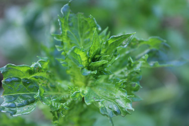 Similar image 22139142