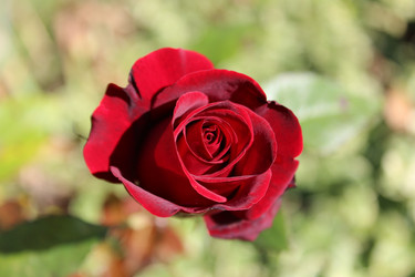 Similar image 22139143