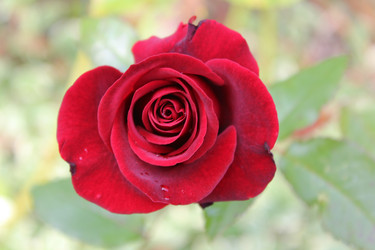 Similar image 22139144