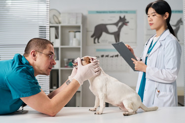 Similar image 22144985