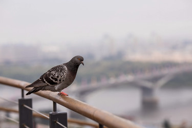 Similar image 22135419