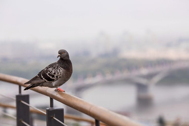 Similar image 22135420