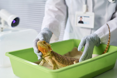 Similar image 22144946