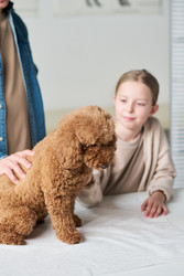 Similar image 22145032