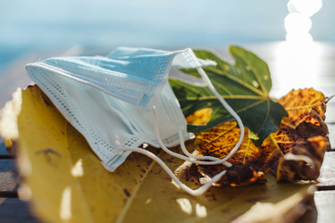 Similar image 22139502