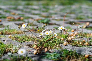 Similar image 22139508