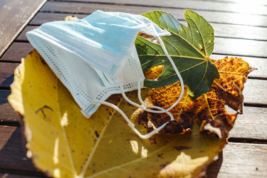 Similar image 22139509