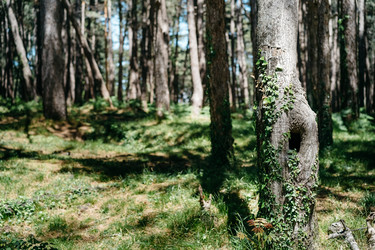 Similar image 22139513