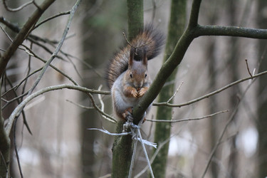 Similar image 22149996