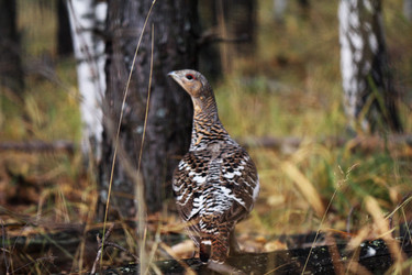 Similar image 22149997