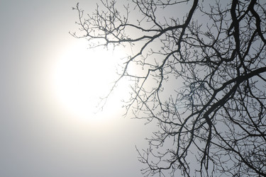 Similar image 22149999