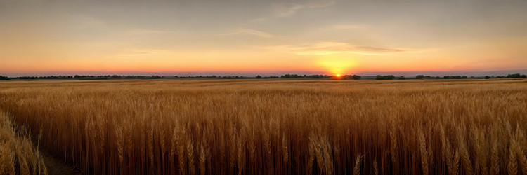 Similar image 22134413