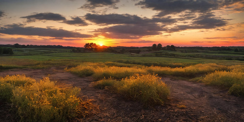 Similar image 22134417