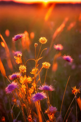 Similar image 22133989