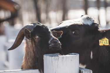 Similar image 22136053