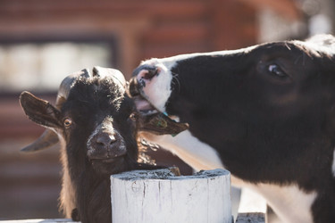 Similar image 22136054