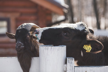 Similar image 22136055