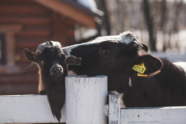 Similar image 22136056