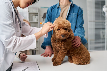 Similar image 22144953