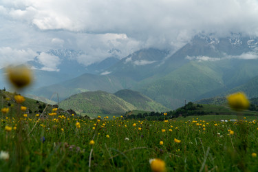 Similar image 22139704