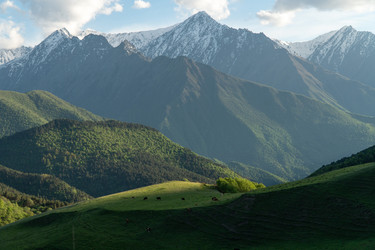 Similar image 22139710