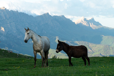 Similar image 22139711