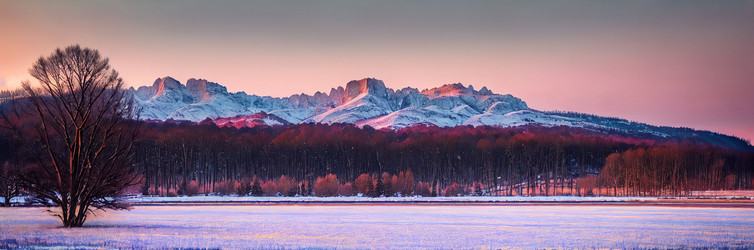 Similar image 22134562