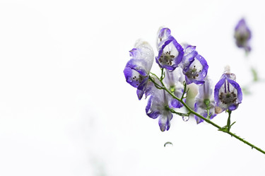 Similar image 22136057