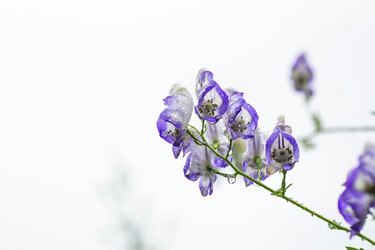 Similar image 22136058