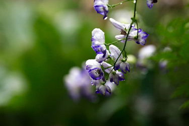 Similar image 22136059