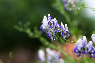 Similar image 22136060